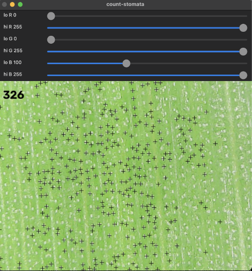 count-stomata's GUI